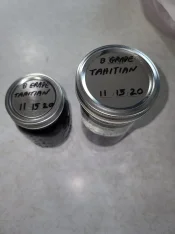 20201115_112741.jpg