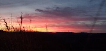 20201129_070938.jpg