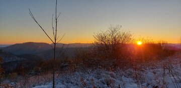20201202_073904.jpg