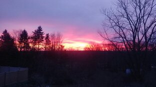 1213201635_HDR.jpg