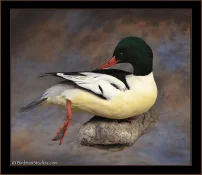 1614958600447.webp