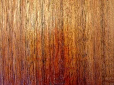 tn_DSC00169.webp