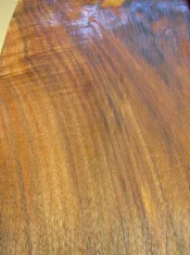 tn_DSC00119.webp
