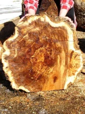 wood 016.webp