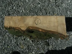 Blank 1 (2).webp