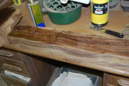 walnut 1 003.webp