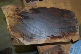 walnut 1 002.webp