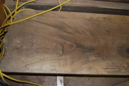 walnut 3 14 006.webp