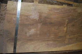 walnut 3 14 003.webp
