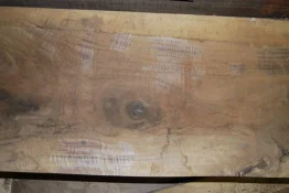 walnut 3 14 005.webp