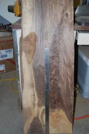 walnut 3 14 002.webp