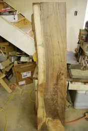 walnut 3 14 009.webp