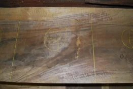 walnut-19x19 002.webp