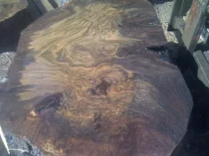 IMG-20120323-00731.webp