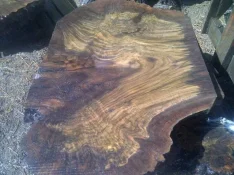 IMG-20120323-00732.webp