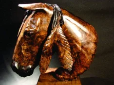 warpony1.webp