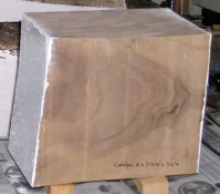 8x8CatalpaBlk.webp