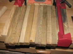 Lignum_1000_2387.webp