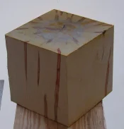 10in cube1.webp