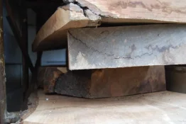 Large walnut 002.webp