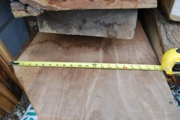 Large walnut 004.webp