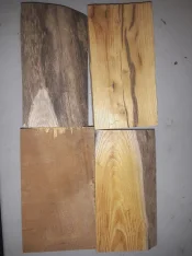 16155089326664497526548622771686.webp