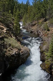 tumalo creek above falls.webp
