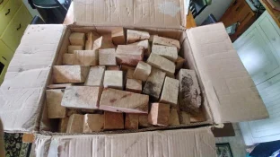 0611211656_HDR.webp