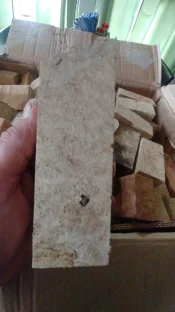 0611211657_HDR.webp