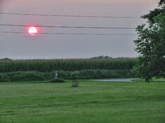 IMG_4454-01.jpeg