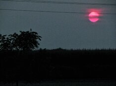 IMG_4457-01.jpeg