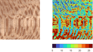 test_01379_point_1-detail-PZC.png