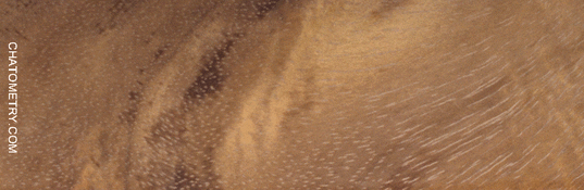 test_01517gif.gif
