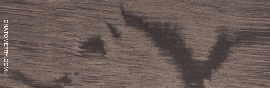 test_01573gif.gif