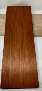 fullsizeoutput_5c3e.webp