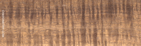 test_01960gif.gif