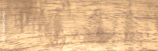 test_01929gif.gif