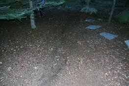 drag trail from Dennis deck to tee box.jpg