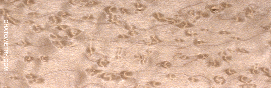 test_02358gif.gif