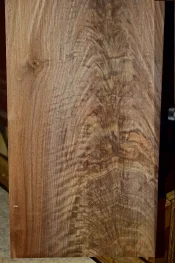 feathered walnut.webp