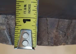 cocobolo thick.jpg