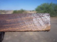 100_9929.webp