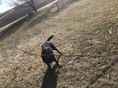 052157D9-A9EF-4F7A-9B37-13FA30B2C976.jpeg