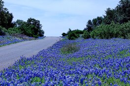 Blue_HDRJH2.jpg