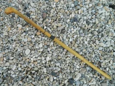 DSCN5342.webp