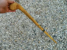 DSCN5343.webp
