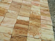 DSCN5534.webp