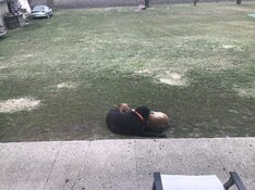 E25606D8-FD0A-4785-BA15-03F3DD56373D.jpeg