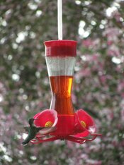 IMG_5235.JPG