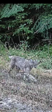 Screenshot_20220918-193406_Gmail.webp